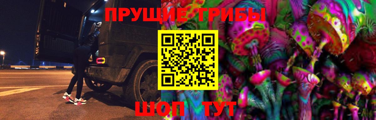 Шадринск  Галлюциногенные грибы MAGIC MUSHROOMS  Вход с VPN  Галлюциногенные грибы GOLDEN TEACHER 