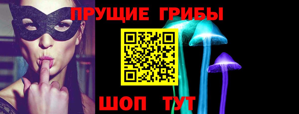 Псилоцибиновые грибы Psilocybine cubensis Шадринск
