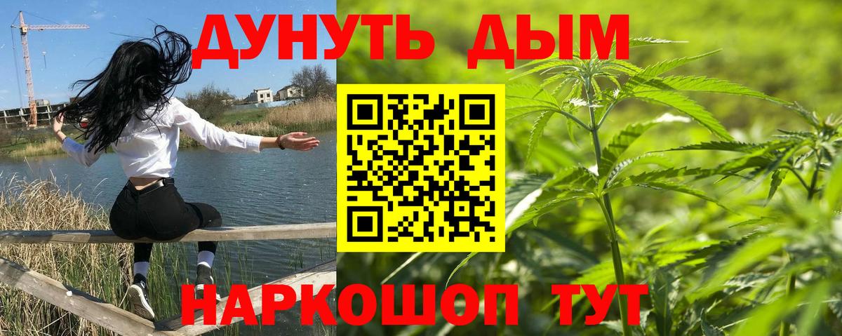 Шадринск  Каннабис Amnesia  Каннабис тримм  Марихуана план  Канабис THC 21%  Вход с VPN 